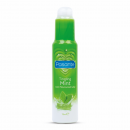Pasante Tingling Mint Lube  -Price Cut-